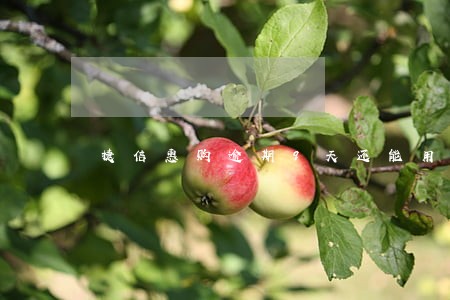 捷信惠购逾期9天还能用吗 捷信惠购逾期9天还能用吗
