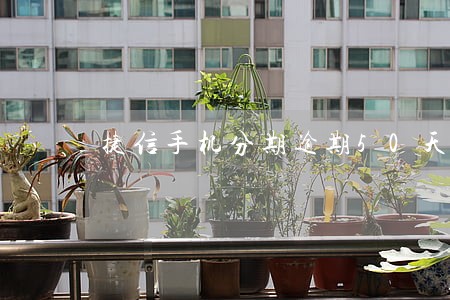 捷信手机分期逾期50天 捷信手机分期逾期50天