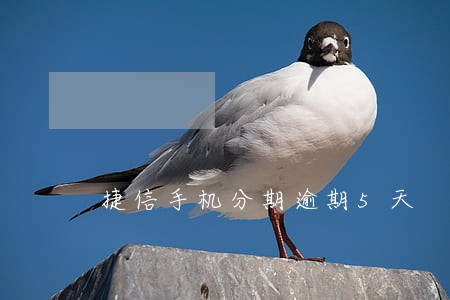 捷信手机分期逾期5天