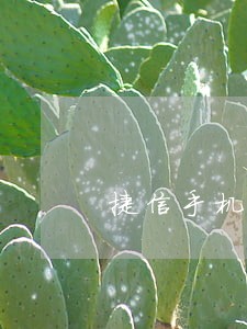 捷信手机分期逾期了8年了 捷信手机分期逾期了8年了