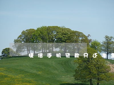 捷信手机贷款只还本金可以吗 捷信手机贷款只还本金可以吗