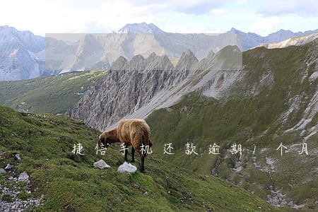 捷信手机还款逾期1个月 捷信手机还款逾期1个月