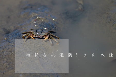 捷信手机逾期300天还多少块钱 捷信手机逾期300天还多少块钱