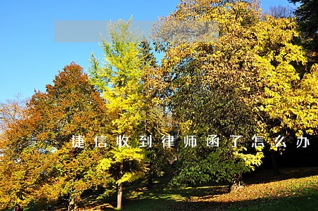 捷信收到律师函了怎么办 捷信收到律师函了怎么办