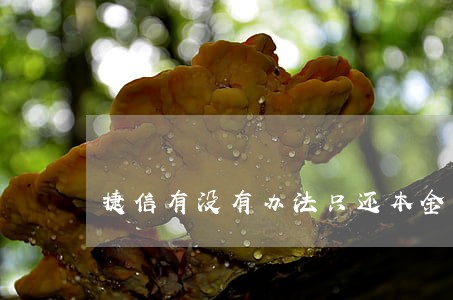 捷信有没有办法只还本金 捷信有没有办法只还本金