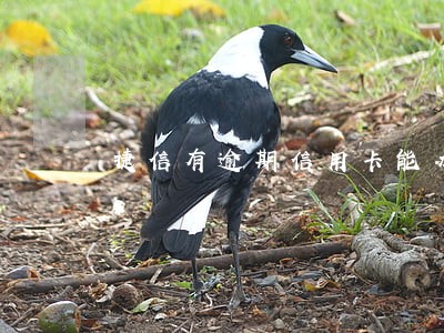 捷信有逾期信用卡能办吗 捷信有逾期信用卡能办吗