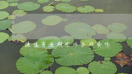 捷信有逾期可以办网贷吗 捷信有逾期可以办网贷吗