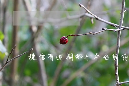 捷信有逾期哪个平台能贷款 捷信有逾期哪个平台能贷款
