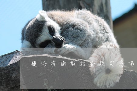 捷信有逾期能贷款买房吗 捷信有逾期能贷款买房吗