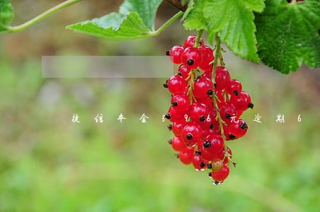 捷信本金596元逾期6天 捷信本金596元逾期6天