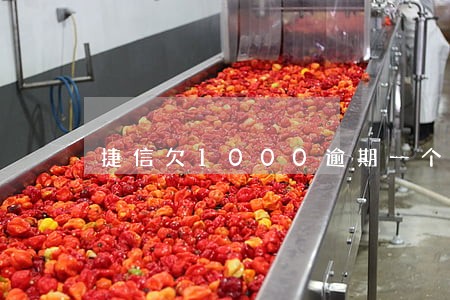 捷信欠1000逾期一个星期