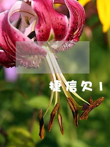 捷信欠1900逾期4年 捷信欠1900逾期4年
