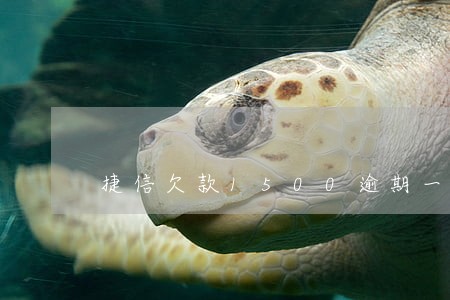 捷信欠款1500逾期一年了 捷信欠款1500逾期一年了