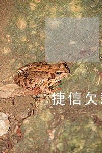 捷信欠款3万逾期4年了 捷信欠款3万逾期4年了