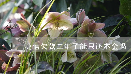 捷信欠款二年了能只还本金吗 捷信欠款二年了能只还本金吗