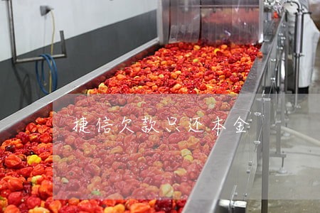 捷信欠款只还本金 捷信欠款只还本金