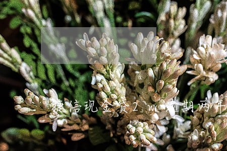 捷信现金贷2w逾期两年要还多少