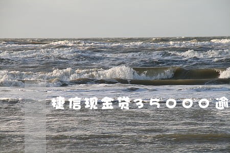 捷信现金贷35000逾期半年