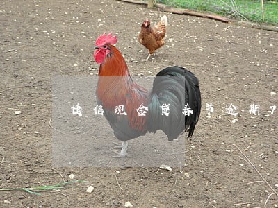捷信现金贷春节逾期7天 捷信现金贷春节逾期7天