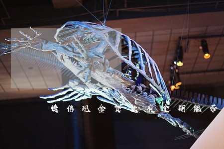 捷信现金贷款有逾期能带吗 捷信现金贷款有逾期能带吗