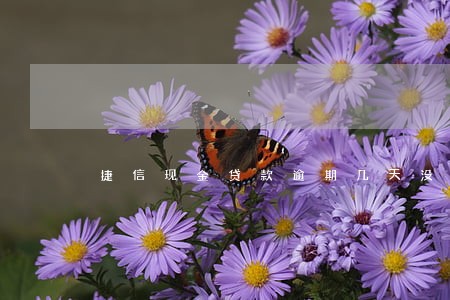 捷信现金贷款逾期几天没事 捷信现金贷款逾期几天没事