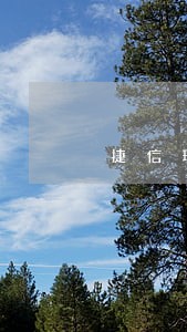 捷信现金贷逾期5天会打电话吗 捷信现金贷逾期5天会打电话吗