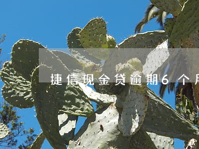 捷信现金贷逾期6个月会怎么样 捷信现金贷逾期6个月会怎么样