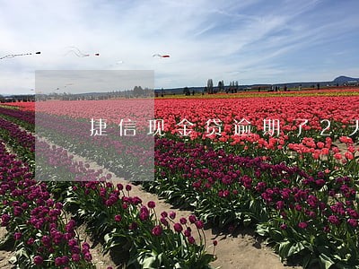 捷信现金贷逾期了2天 捷信现金贷逾期了2天