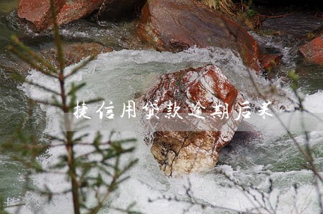 捷信用贷款逾期后果