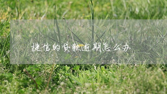 捷信的贷款逾期怎么办 捷信的贷款逾期怎么办