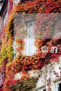 捷信的钱有没有只还本金的 捷信的钱有没有只还本金的