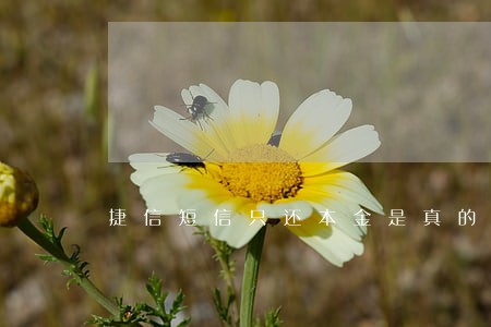 捷信短信只还本金是真的假的 捷信短信只还本金是真的假的