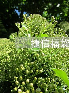 捷信福袋只还本金 捷信福袋只还本金