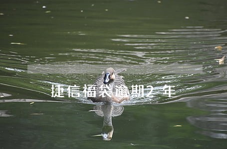 捷信福袋逾期2年 捷信福袋逾期2年
