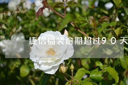 捷信福袋逾期超过90天 捷信福袋逾期超过90天
