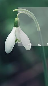 捷信第一次逾期17天 捷信第一次逾期17天
