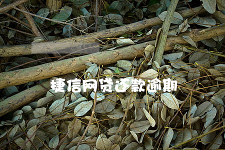 捷信网贷还款逾期 捷信网贷还款逾期