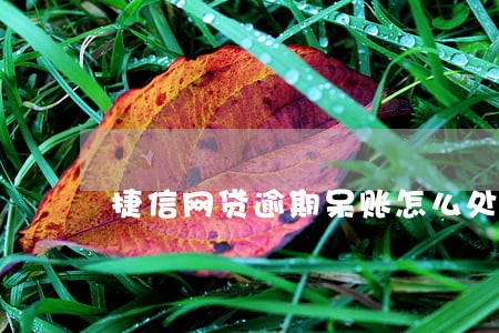 捷信网贷逾期呆账怎么处理 捷信网贷逾期呆账怎么处理