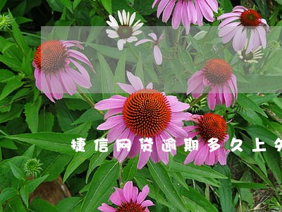 捷信网贷逾期多久上失信名单 捷信网贷逾期多久上失信名单