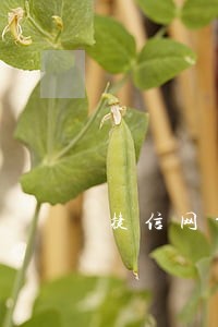 捷信网贷逾期多久被起诉 捷信网贷逾期多久被起诉