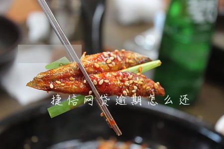 捷信网贷逾期怎么还 捷信网贷逾期怎么还