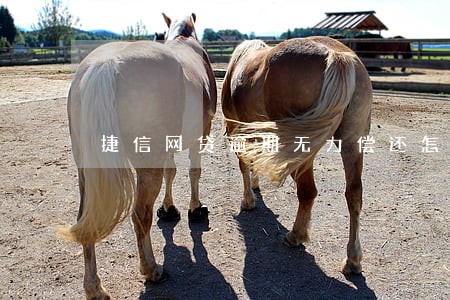 捷信网贷逾期无力偿还怎么处理 捷信网贷逾期无力偿还怎么处理