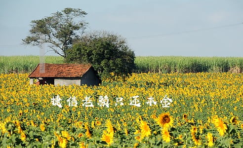 捷信老赖只还本金
