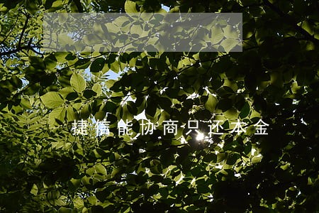 捷信能协商只还本金