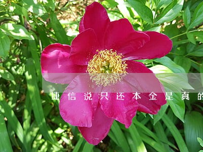 捷信说只还本金是真的吗