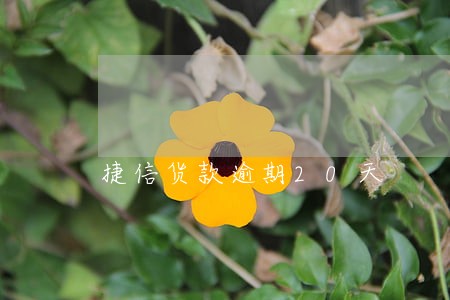 捷信货款逾期20天 捷信货款逾期20天