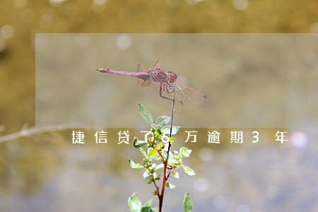捷信贷了6万逾期3年 捷信贷了6万逾期3年
