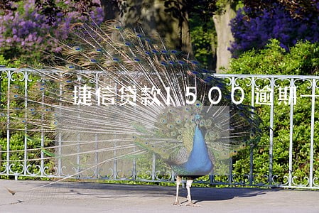 捷信贷款1500逾期一年后果 捷信贷款1500逾期一年后果