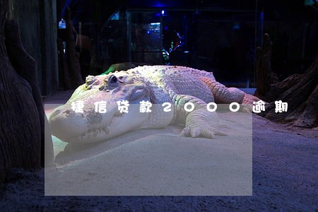 捷信贷款2000逾期 捷信贷款2000逾期