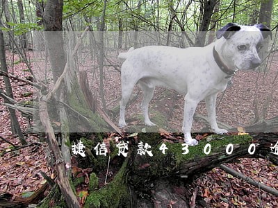 捷信贷款43000逾期 捷信贷款43000逾期